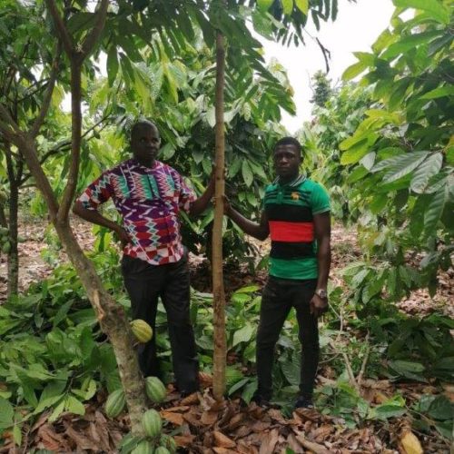 CCB (Climate, Community and Biodiversity) – Ivory Coast