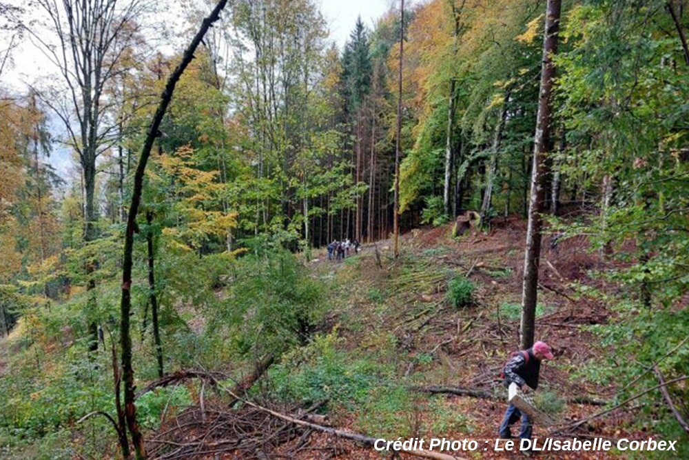 cette-action-a-aussi-ete-l-occasion-de-rappeler-les-differentes-fonctions-de-la-foret-sociale-puisqu-elle-permet-de-s-adonner-a-de-multiples-loisirs-ecologique-et-economique-photo