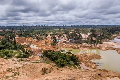 Deforested area