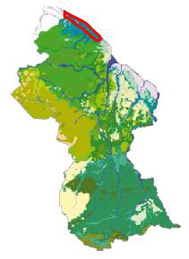 Guyana
